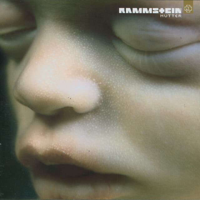 Album cover of Sonne by Rammstein
